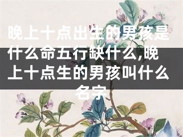 晚上十点出生的男孩是什么命五行缺什么,晚上十点生的男孩叫什么名字