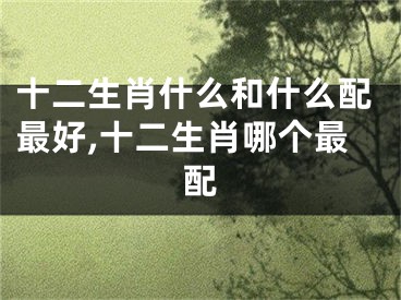 十二生肖什么和什么配最好,十二生肖哪个最配