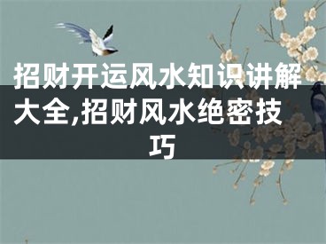 招财开运风水知识讲解大全,招财风水绝密技巧