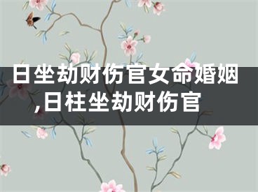 日坐劫财伤官女命婚姻,日柱坐劫财伤官