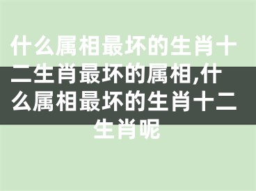什么属相最坏的生肖十二生肖最坏的属相,什么属相最坏的生肖十二生肖呢