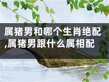 属猪男和哪个生肖绝配,属猪男跟什么属相配