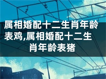 属相婚配十二生肖年龄表鸡,属相婚配十二生肖年龄表猪