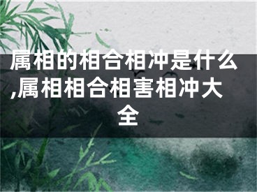属相的相合相冲是什么,属相相合相害相冲大全