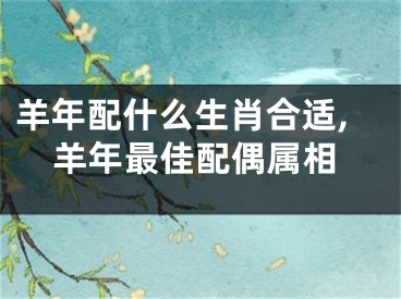 羊年配什么生肖合适,羊年最佳配偶属相