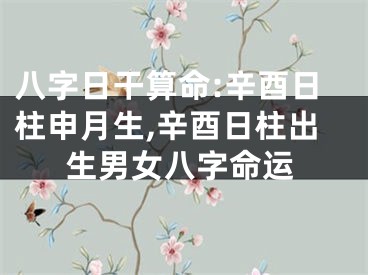 八字日干算命:辛酉日柱申月生,辛酉日柱出生男女八字命运