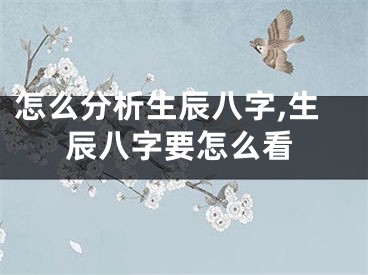 怎么分析生辰八字,生辰八字要怎么看