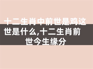 十二生肖中前世是鸡这世是什么,十二生肖前世今生缘分