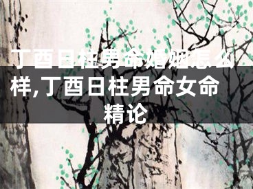 丁酉日柱男命婚姻怎么样,丁酉日柱男命女命精论