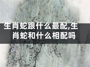 生肖蛇跟什么最配,生肖蛇和什么相配吗