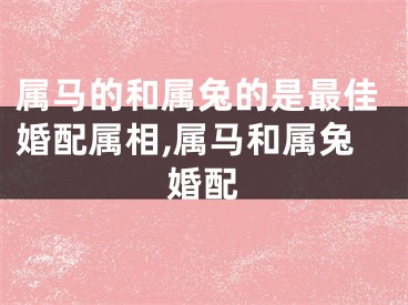 属马的和属兔的是最佳婚配属相,属马和属兔婚配