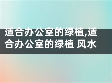 适合办公室的绿植,适合办公室的绿植 风水