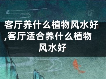 客厅养什么植物风水好,客厅适合养什么植物风水好