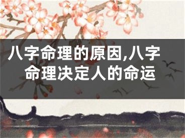 八字命理的原因,八字命理决定人的命运