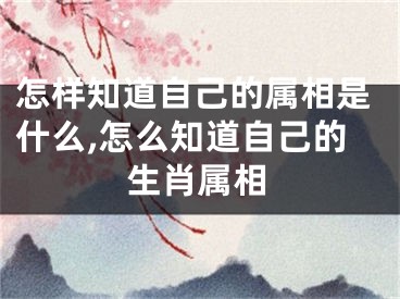 怎样知道自己的属相是什么,怎么知道自己的生肖属相