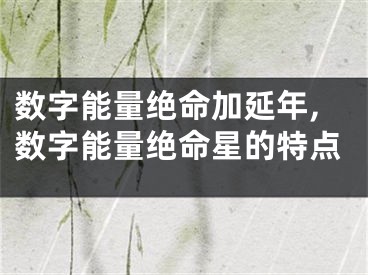 数字能量绝命加延年,数字能量绝命星的特点