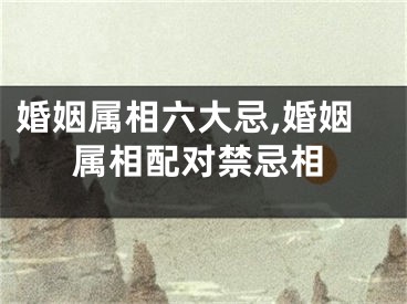 婚姻属相六大忌,婚姻属相配对禁忌相