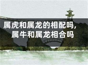 属虎和属龙的相配吗,属牛和属龙相合吗