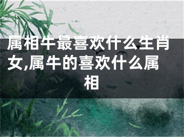 属相牛最喜欢什么生肖女,属牛的喜欢什么属相