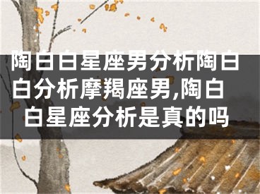 陶白白星座男分析陶白白分析摩羯座男,陶白白星座分析是真的吗