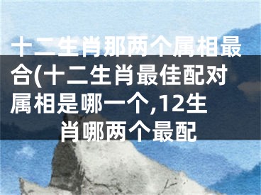 十二生肖那两个属相最合(十二生肖最佳配对属相是哪一个,12生肖哪两个最配