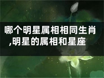 哪个明星属相相同生肖,明星的属相和星座