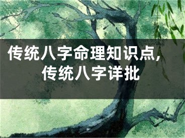 传统八字命理知识点,传统八字详批