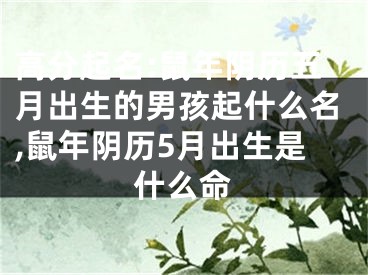 高分起名:鼠年阴历五月出生的男孩起什么名,鼠年阴历5月出生是什么命