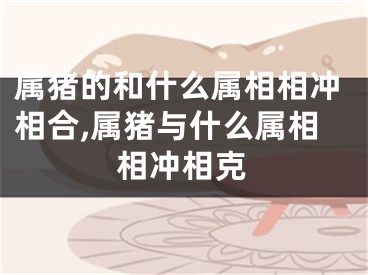属猪的和什么属相相冲相合,属猪与什么属相相冲相克