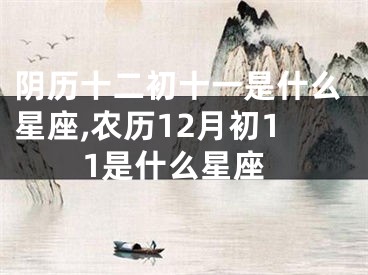 阴历十二初十一是什么星座,农历12月初11是什么星座