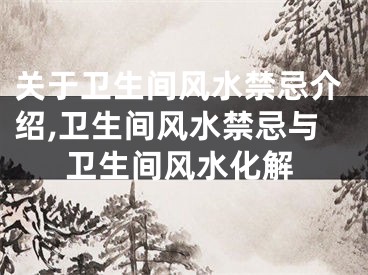 关于卫生间风水禁忌介绍,卫生间风水禁忌与卫生间风水化解
