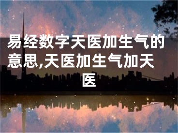 易经数字天医加生气的意思,天医加生气加天医