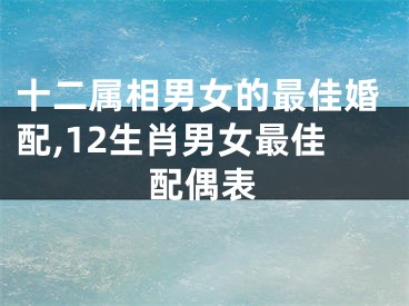 十二属相男女的最佳婚配,12生肖男女最佳配偶表