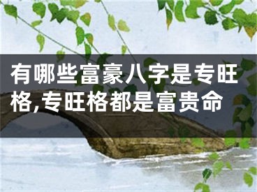 有哪些富豪八字是专旺格,专旺格都是富贵命