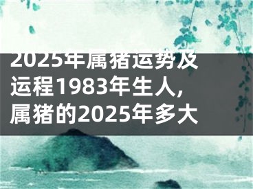 2025年属猪运势及运程1983年生人,属猪的2025年多大