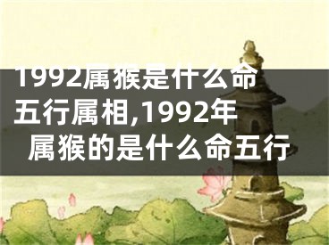 1992属猴是什么命五行属相,1992年属猴的是什么命五行