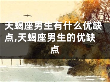 天蝎座男生有什么优缺点,天蝎座男生的优缺点