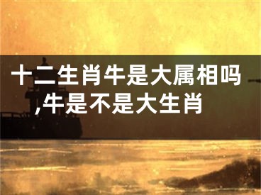 十二生肖牛是大属相吗,牛是不是大生肖