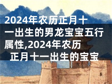 2024年农历正月十一出生的男龙宝宝五行属性,2024年农历正月十一出生的宝宝