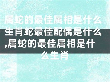 属蛇的最佳属相是什么生肖蛇最佳配偶是什么,属蛇的最佳属相是什么生肖