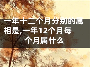 一年十二个月分别的属相是,一年12个月每个月属什么
