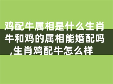 鸡配牛属相是什么生肖牛和鸡的属相能婚配吗,生肖鸡配牛怎么样