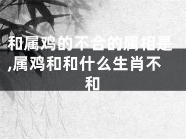和属鸡的不合的属相是,属鸡和和什么生肖不和