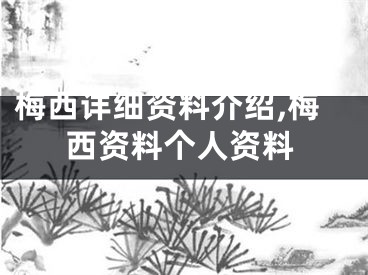 梅西详细资料介绍,梅西资料个人资料