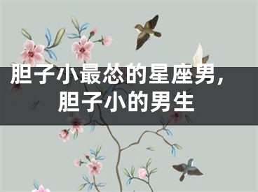 胆子小最怂的星座男,胆子小的男生