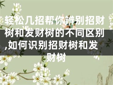 轻松几招帮你辨别招财树和发财树的不同区别,如何识别招财树和发财树