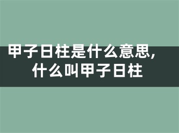 甲子日柱是什么意思,什么叫甲子日柱