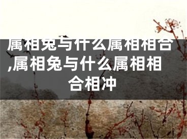 属相兔与什么属相相合,属相兔与什么属相相合相冲