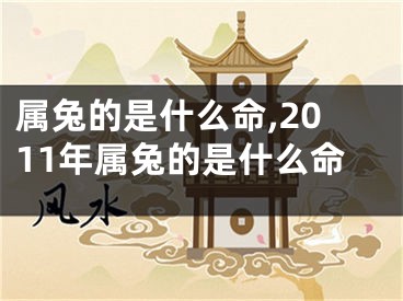 属兔的是什么命,2011年属兔的是什么命