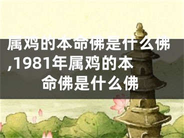 属鸡的本命佛是什么佛,1981年属鸡的本命佛是什么佛